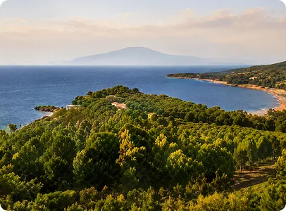 Paysage méditerranéen avec forêt, côte et montagne au loin près de l’eau.