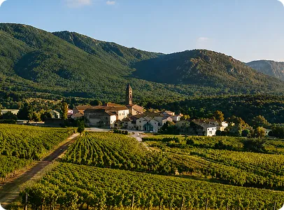 Village provençal entouré de vignobles et montagnes ensoleillées.