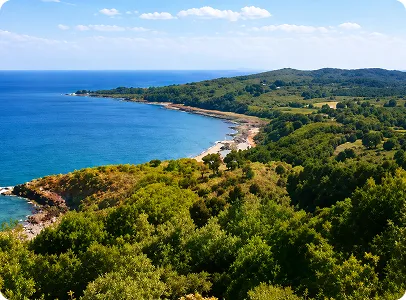 Vue panoramique sur côte verdoyante et baie méditerranéenne ensoleillée.