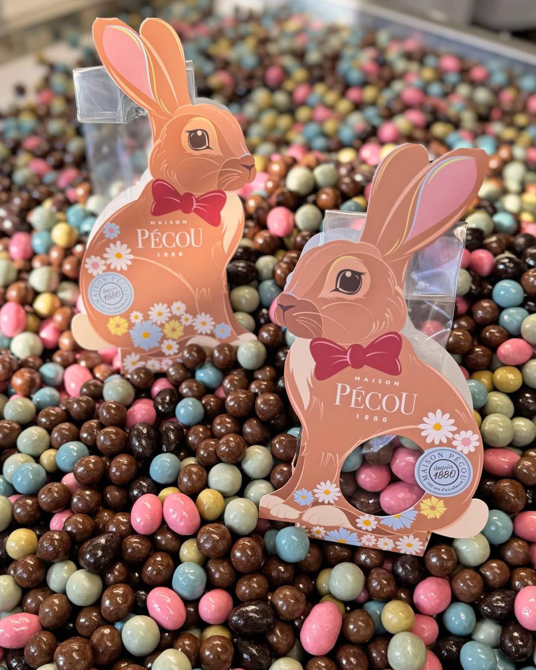 P&acirc;ques avec la Maison P&eacute;cou