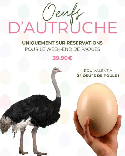 ŒUFS D’AUTRUCHE